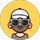 سال پانزدهم